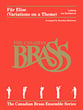 Fur Elise Brass Quintet cover